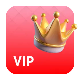 03_vip.webp